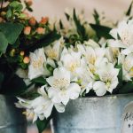 Photo by Katy Anne on Unsplash