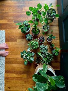 Photo by Leeann Cline on Unsplash